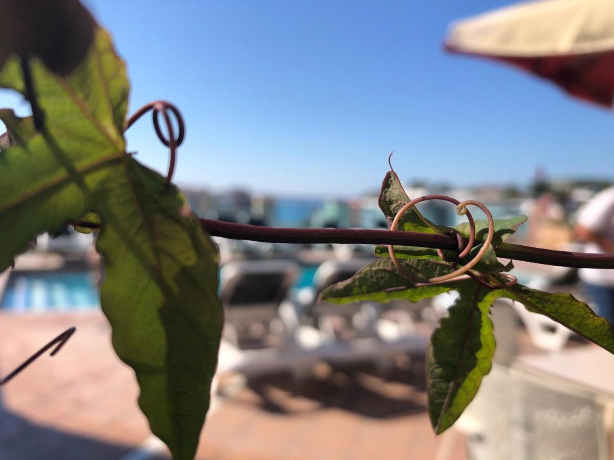 Hotel Astoria Park Lloret de Mar Ngoại thất bức ảnh